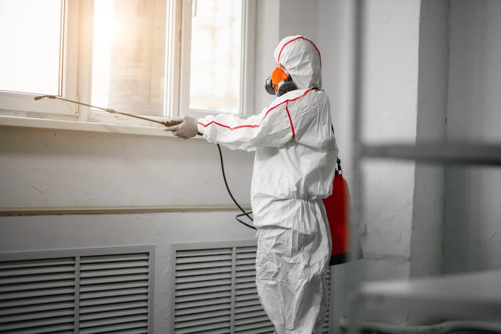 Professional mold remediation services in Chino Hills, CA